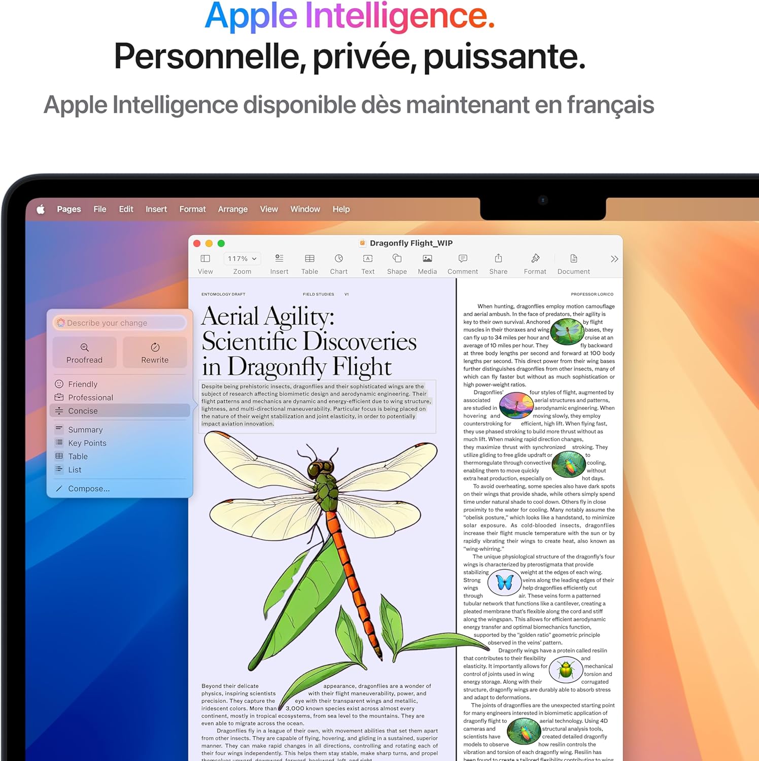 Macbook Air 13 Pouces Ordinateur Portable Avec Puce M4 : Conçu Pour  Intelligence, Écran Liquid Retina De 13,6 Pouces, Mémoire Unifiée De 16 Go, Stockage SSD De 256 Go, Touch ID ; Minuit
