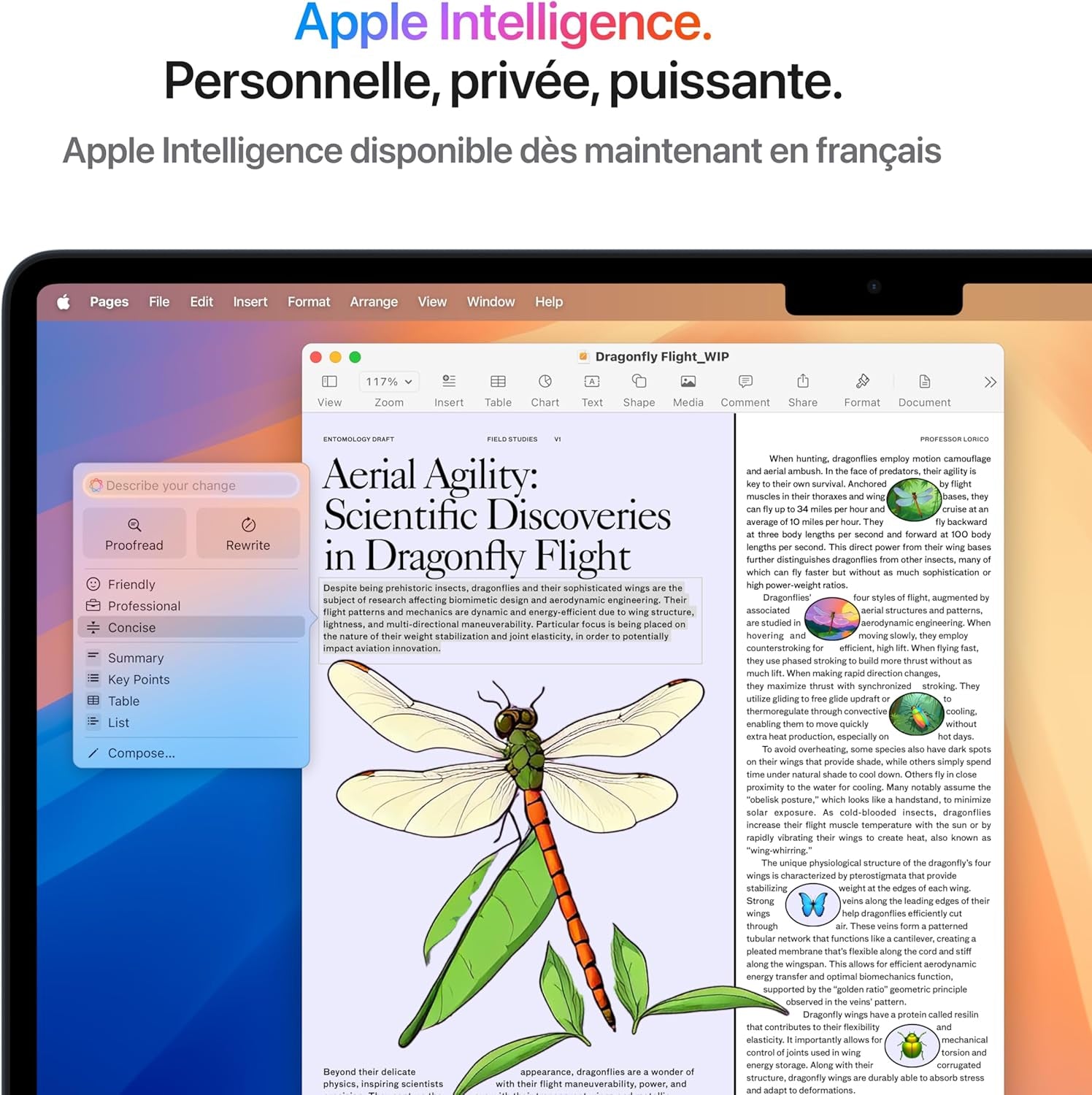 Macbook Air 15 Pouces Ordinateur Portable Avec Puce M4 : Conçu Pour  Intelligence, Écran Liquid Retina De 15,3 Pouces, Mémoire Unifiée De 16 Go, Stockage SSD De 256 Go, Touch ID ; Minuit